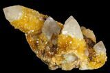 Sunshine Cactus Quartz Crystal Cluster - South Africa #122364-1